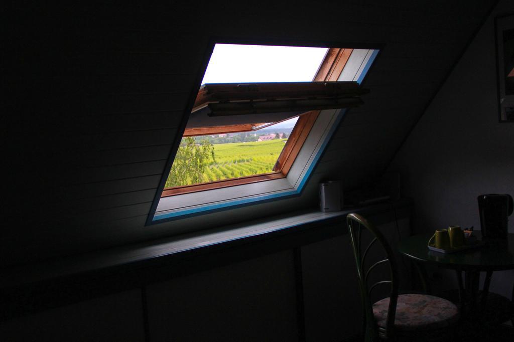 Chambres D'Hotes Du Vignoble Рикевир Номер фото